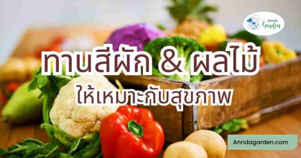 สีของผักและผลไม้ 4