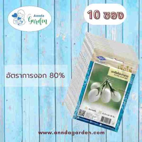 เมล็ดมะเขือไข่เต่าขาว เจียไต๋_10 ซอง
