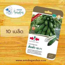เมล็ดมะละกอ ส้มตำ 90 F1 ศรแดง 1 ซอง_1