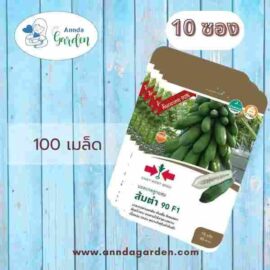 เมล็ดมะละกอ ส้มตำ 90 F1 ศรแดง 10 ซอง