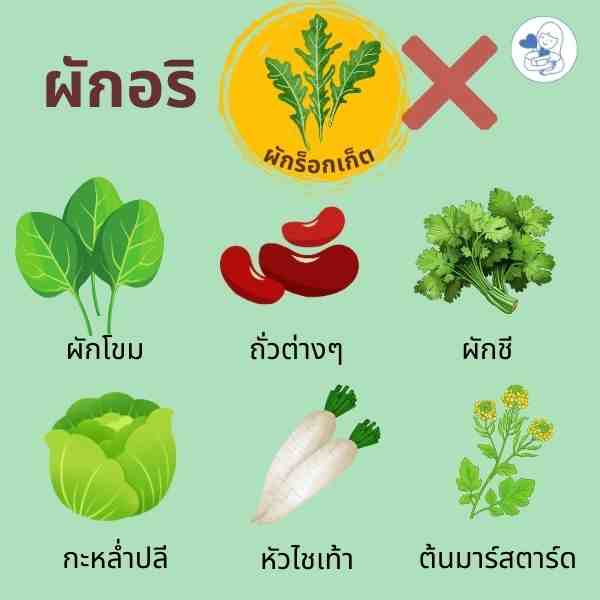 ผักอริกับผักร็อกเก็ต