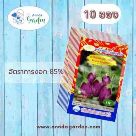 เมล็ดมะเขือไข่เต่าม่วง หญิงลี ตราภูเขาทอง 10 ซอง