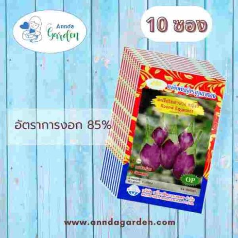 เมล็ดมะเขือไข่เต่าม่วง หญิงลี ตราภูเขาทอง 10 ซอง