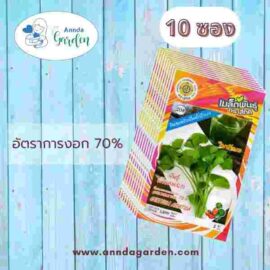 เมล็ดใบบัวบก 10 ซอง
