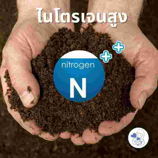ปุ๋ยไนโตรเจนสูง