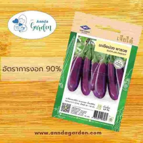 เมล็ดมะเขือยาวม่วง พันธุ์พารวย เจียไต๋