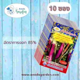 เมล็ดมะเขือยาวม่วงลูกผสม แม่ลาว ภูเขาทอง_10 ซอง
