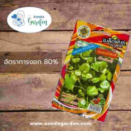 เมล็ดวอเตอร์เครส ตราสี่ทิศ 1 ซอง