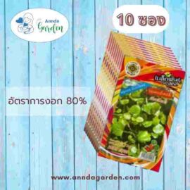 เมล็ดวอเตอร์เครส ตราสี่ทิศ 10 ซอง