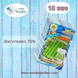 เมล็ดกระเจี๊ยบเขียว เบสกรีน5 สี่ทิศ 2 กรัม_ 10 ซอง