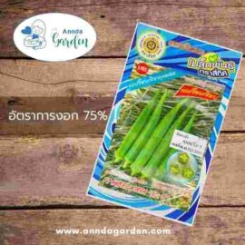 เมล็ดกระเจี๊ยบเขียว เบสกรีน5 สี่ทิศ 2 กรัม_ 1 ซอง