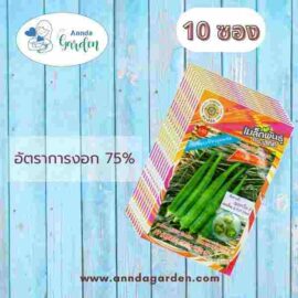 เมล็ดกระเจี๊ยบเขียว เบสกรีน5 สี่ทิศ_10 ซอง