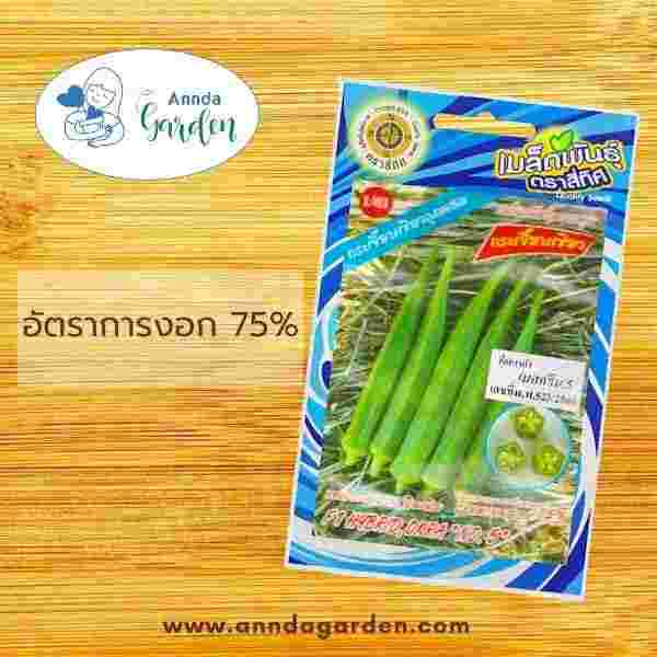 เมล็ดกระเจี๊ยบเขียว เบสกรีน5 สี่ทิศ F1 - 1 ซอง