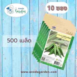 เมล็ดกระเจี๊ยบเขียว เหนี่ยวทรัพย์ เจียไต๋_ 10ซอง2