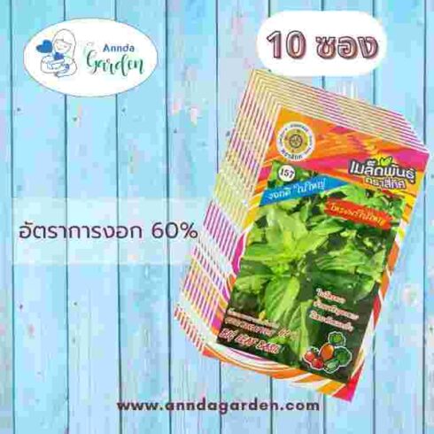 เมล็ดโหระพาใบใหญ่ สี่ทิศ 10 ซอง