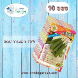 เมล็ดกระเจี๊ยบเขียว พันธุ์เขียว 4ทิศ_10 ซอง