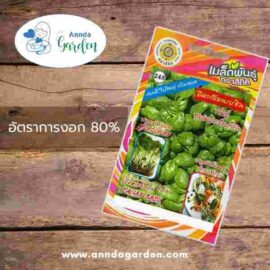 เมล็ดอิตาเลี่ยนเบซิล พันธุ์ซุปเปอร์เบซิล_1 ซอง