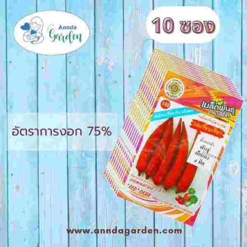 เมล็ดกระเจี๊ยบเขียว พันธุ์ฝักแดง สี่ทิศ_10 ซอง