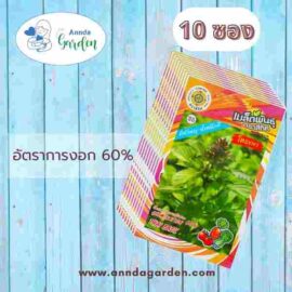 เมล็ดโหระพา สี่ทิศ 10 ซอง