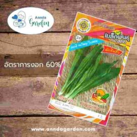 เมล็ดผักชีฝรั่ง สี่ทิศ_ 1 ซอง