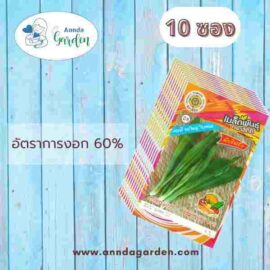 เมล็ดผักชีฝรั่ง สี่ทิศ_ 10 ซอง