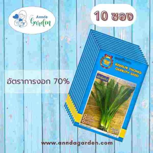 เมล็ดผักชีฝรั่ง กำไลทอง 10 ซอง