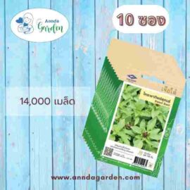 เมล็ดโหระพา ทิพย์สุคนธ์ เจียไต๋_10 ซอง