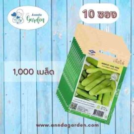 เมล็ดแตงกวา แบมแบม เจียไต๋_10 ซอง