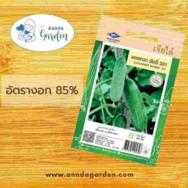 เมล็ดแตงกวา มัมมี่ 331 เจียไต๋_1 ซอง