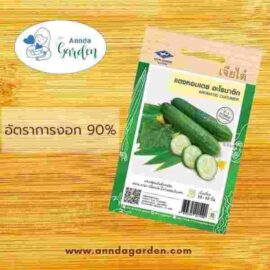 เมล็ดแตงหอมเตย อะโรมาติก เจียไต๋_1 ซอง