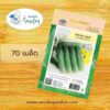 เมล็ดแตงกวาเบลล่า เจียไต๋ _ 1 ซอง