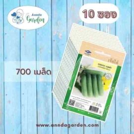 เมล็ดแตงกวาเบลล่า เจียไต๋ _ 10 ซอง