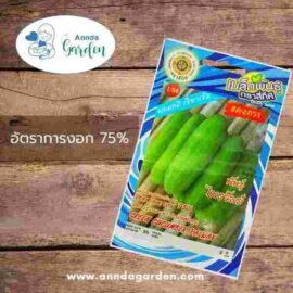 เมล็ดแตงกวา พันธุ์ไพรวัลย์ สี่ทิศ_1 ซอง
