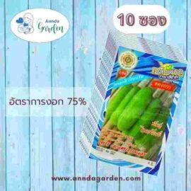 เมล็ดแตงกวา พันธุ์ไพรวัลย์ สี่ทิศ_10 ซอง