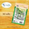 เมล็ดแตงกวาญี่ปุ่นโรเบอร์โต้ เจียไต๋