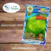 เมล็ดผักกาดหอม พันธุ์สลัดปลี(สลัดแก้ว) สี่ทิศ_1 ซอง