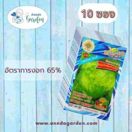 เมล็ดผักกาดหอม พันธุ์สลัดปลี(สลัดแก้ว) สี่ทิศ_10 ซอง