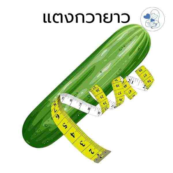 แตงกวายาว