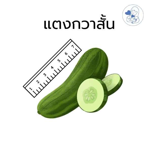 แตงกวาสั้น
