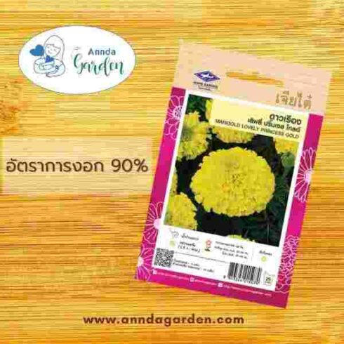 เมล็ดดาวเรือง เลิฟลี่ปริ๊นเซส เจียไต๋_1 ซอง