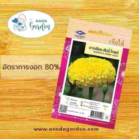 เมล็ดดาวเรือง ฮันนี่โกลด์ เจียไต๋_1 ซอง_1