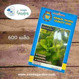 เมล็ดผักสลัดบัตเตอร์เฮดภูผา กำไลทอง 1 ซอง
