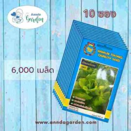 เมล็ดผักสลัดบัตเตอร์เฮดภูผา กำไลทอง 10 ซอง