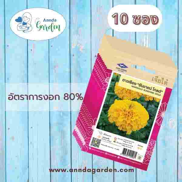 เมล็ดดาวเรือง ซันชายน์ โกลด์ เจียไต๋_10 ซอง