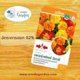 เมล็ดดาวเรืองฝรั่งเศส เพอร์เฟคท์มิกซ์ ศรแดง 1 ซอง