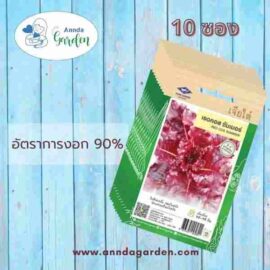 เมล็ดผักสลัดเรดคอส ซัมเมอร์ เจียไต๋ 10 ซอง
