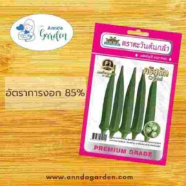 เมล็ดกระเจี๊ยบเขียวลูกผสมคริสตัล ตะวันต้นกล้า 1 ซอง