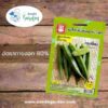 เมล็ดกระเจี๊ยบเขียว เขียวดก ตราน้ำเต้า 10 ซอง