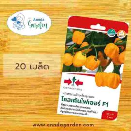 เมล็ดพริกฮาบาเนโรเหลือง โกลเด้นไฟเออร์F1 ศรแดง
