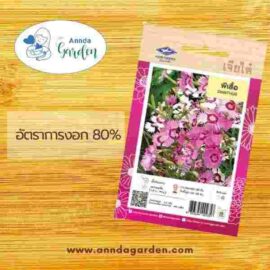 เมล็ดผีเสื้อ เจียไต๋ 1 ซอง